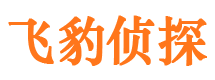 白碱滩市侦探公司